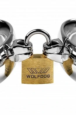 2e96cce3-bb60-4ac3-85fb-3ea43eab690e