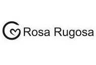 Rosa Rugosa
