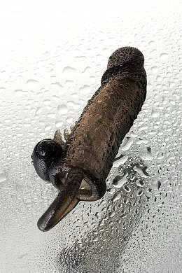 9f0e74bb-8896-4ddd-ba8a-ba1c52dbba34