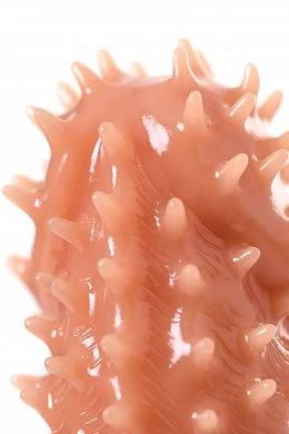 219bd669-3786-43d3-b8c0-d0c0a0090945