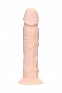 bdbf90ff-d05c-43a2-bb6e-6b8020230ce0