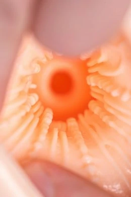 a7a48e67-700f-454c-8c60-f17c4421322b