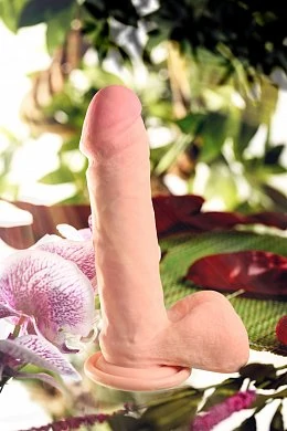 d06c84e8-2477-42c4-9545-b9eb37a77dcd