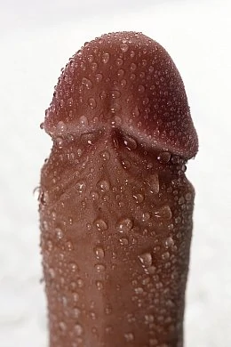 09cc4ab4-d9d5-4869-a07b-d2b154b2fa11