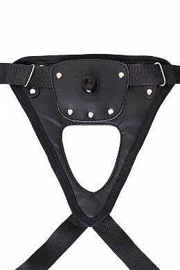 679e2a8c-6b16-454b-ad47-a7da833b42ea