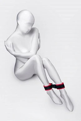 6cf2b6d7-342c-4b36-b265-d6ddeb7f491a