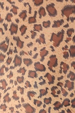 895491ad-dbe2-4f3b-9eac-9c690fe107b5