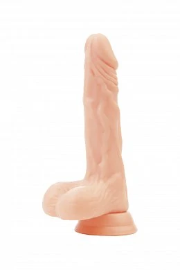 ad1202cd-ba8f-4f4f-98de-e71bf5b86f72