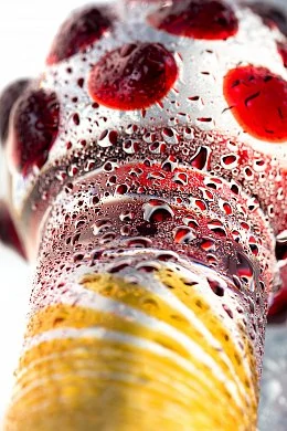 e382b356-a20d-4e36-b726-c7debd308f87