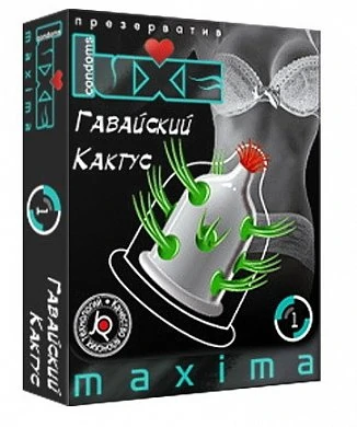 480x720-1e95be8223ba3a29d0bcada0174911c3