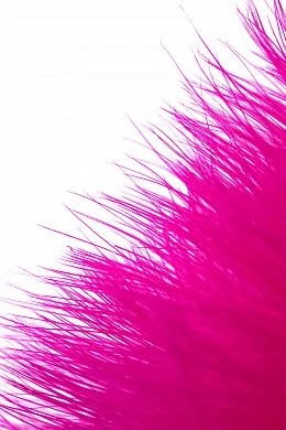 e4f77090-d40b-46f7-a2ff-47dcc383722f