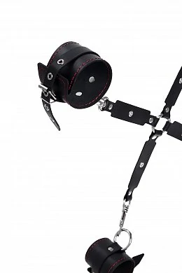 e0219922-c458-4f98-a2ac-862c201d1d68