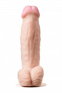 24295728-61bd-4f54-8c27-d6886920ad02