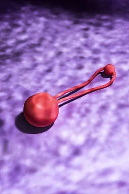 1078efd5-b58d-41a4-8d61-727fbc21e228