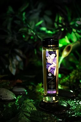 dfe4baa6-b0bb-4ca7-be63-fb75b211c5a7