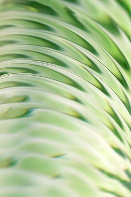 08172338-e06f-4c0a-a964-8fdcb49d1bb4