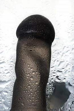 29a0856c-394f-4282-8282-4c10b7adb342