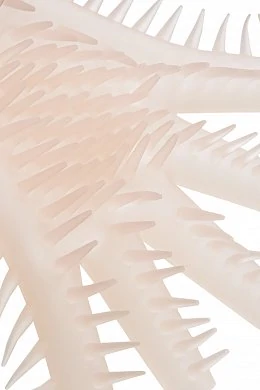 f9287c0c-2b76-49b1-bfd0-1709c5629a94