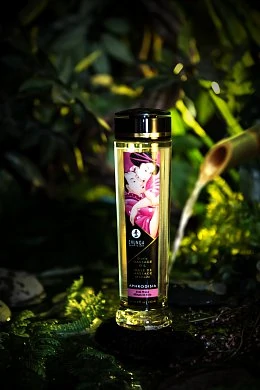 2c70b725-f1d7-4355-bf65-aad07e5033c9