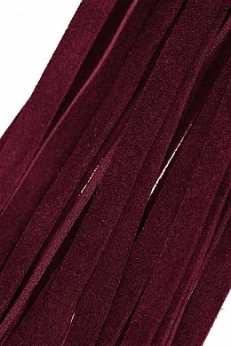 192ffb4a-be5c-407a-abc5-4ca2dfefe44d