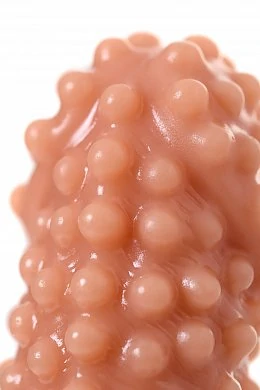 2e68b41c-7c62-4294-90b7-647793baed09