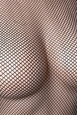 ab4ac8d8-781f-4de5-95e9-0c94786853ca