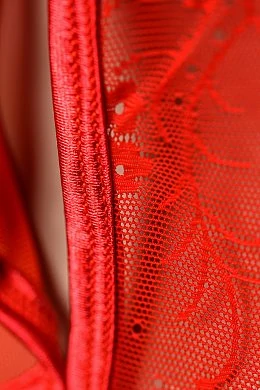 e3ae5972-d8c0-4d03-b5cd-18f714fdf5ff