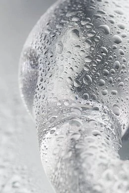 8e48667b-240e-46e7-bf85-20a4f6cc1981