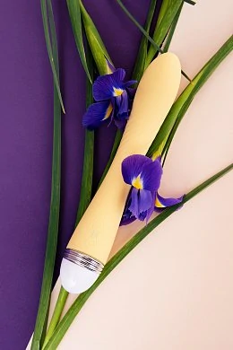 343e425c-7588-48c0-953e-e73b4dd3df8c