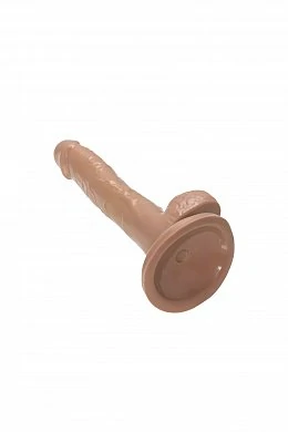 28955ae1-875f-49bf-868f-e021a0b98624