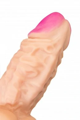 7b8877ee-d79d-4e51-88e6-db144bc40a68