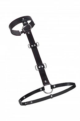 2522834d-87a2-49a5-bce9-e39a41508837