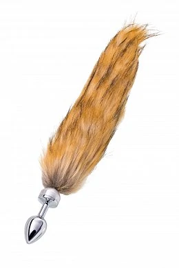 9581a1de-6cc9-4875-b18e-5c507769565a