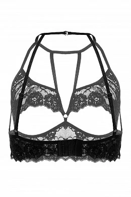 1a2e91989e76d305ca39a098df81cb9c