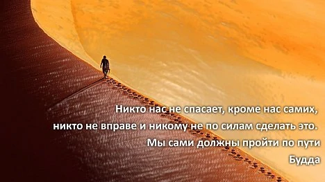 WhatsApp Image 2022-11-15 at 21.32.10 (1)