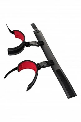 9d272c2b-9364-4d79-9938-54052845a12b