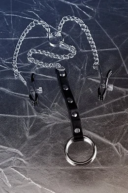 c69e915d-83f9-47f7-b9d2-8836170fd3aa