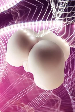 99c5eccd-31aa-4ddc-b3fc-fbdcf2e2cc5e