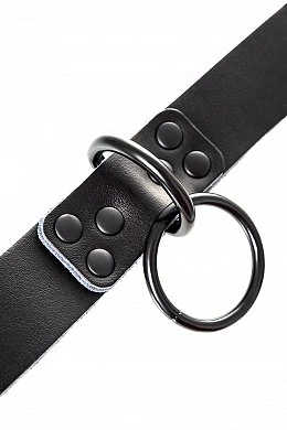 8f8c31a5-c0aa-4bda-b3ea-18ad6569be0a