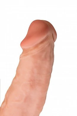 99accb77af68efae9a1428bf3446475b