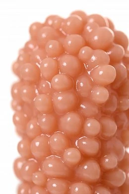 e3d6fbe0-4ea3-44b6-8fa2-eb822eaead70