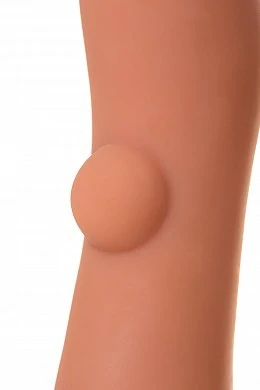 3c722b7b-3784-460d-83bd-48da906a5cae