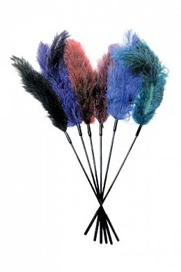 Роскошное, настоящее перо страуса.