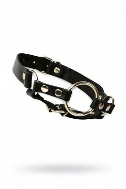 e5135f99-e8ec-432d-b5f1-14cf3c4c7356