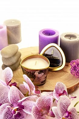 72ad915c-a4d3-4704-a240-70c407123254