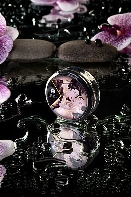 3c637684-795c-4eef-9d6d-dc4a812ce631