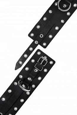 d2c12043-5a5c-45d5-93d4-0cc65016bf6a